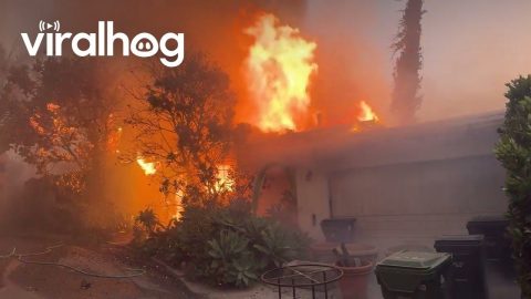First Day of the Pacific Palisades Fire || ViralHog