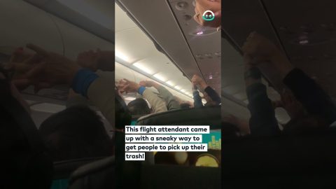 Flight Attendant Makes Passengers Clean || ViralHog