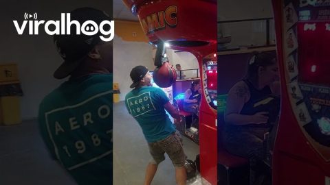 Punching Bag: 1, Humans: 0 || ViralHog