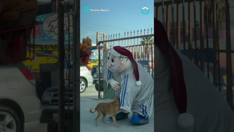 Pharmacist Mascot Plays with Pup || ViralHog
