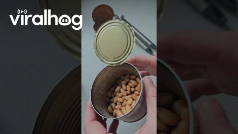 Tin Of Beans Has No Sauce || ViralHog
