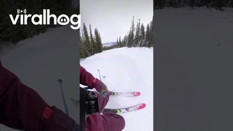 Squirrel Darts Out in Front of Skier || ViralHog