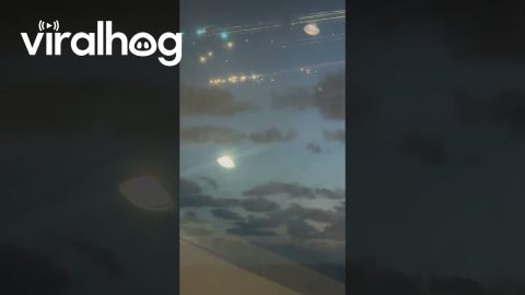 SpaceX Starship Debris Spotted From Cruise Ship || ViralHog
