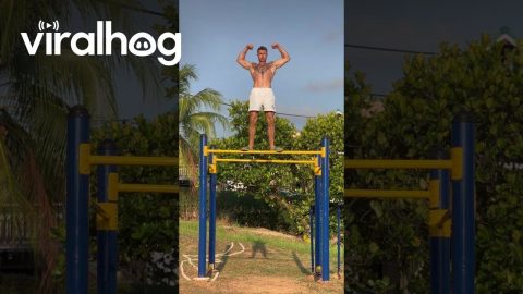 Ascension in Slides || ViralHog