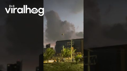 Owl Tries To Fly Against Wind || ViralHog