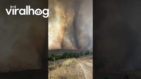 Tornados Spin Up From Remington Fire On Fence Creek || ViralHog
