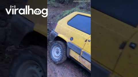 Panda 4x4 Navigates Challenging Terrain || ViralHog
