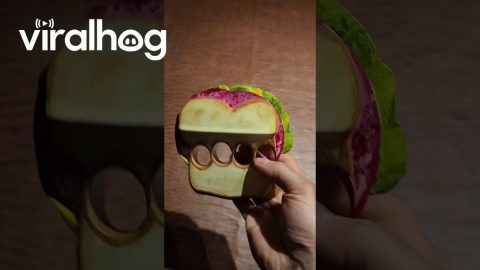 Painted Knuckle Sandwich || ViralHog