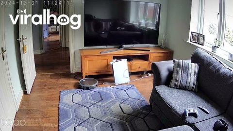 PS5 Overtaken by Robo Vacuum || ViralHog
