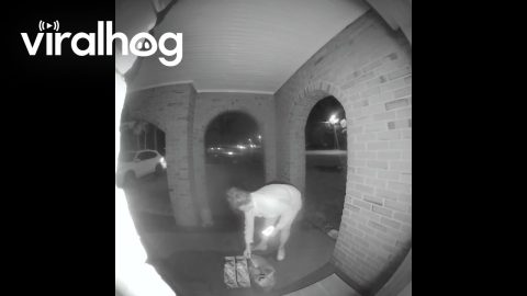 Delivery Driver Trips and Falls With Food || ViralHog