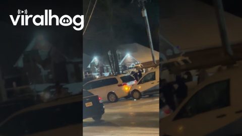 Cars Pile Up On Icy Roads In Georgia || ViralHog