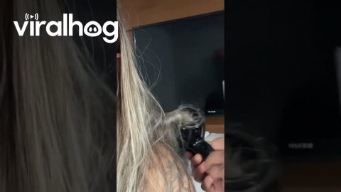 Hair Caught in Curler || ViralHog