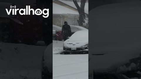 Batman Patrols the Streets After Snow || ViralHog