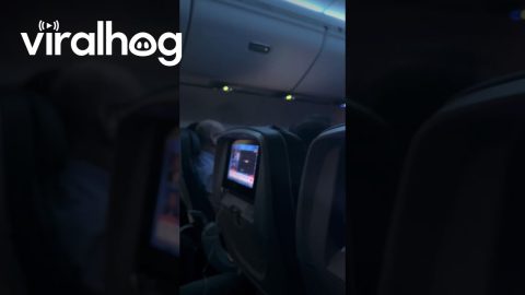 News Unfolds On TV While Planes Are Diverted || ViralHog