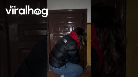 Airbnb Has Tiny Door || ViralHog