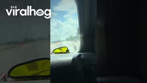 Racing a Tire on the Interstate || ViralHog