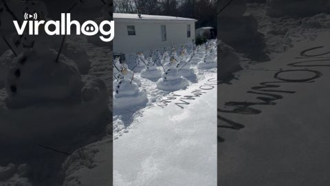 Army Of Royal Snowmen || ViralHog