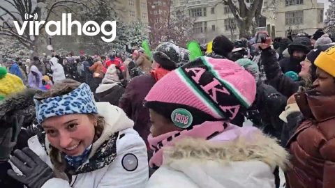 Hundreds Gather for Washington DC Snowball Fight || ViralHog