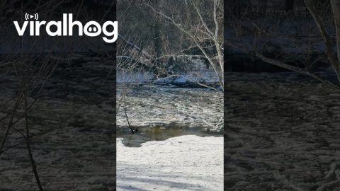 Swiftly Flowing River Suddenly Stops || ViralHog