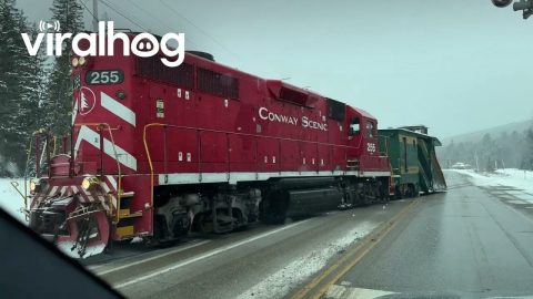 Train Appears to Drive on Road || ViralHog