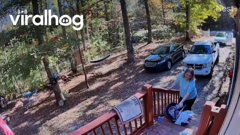 Stumble Up The Cabin Stairs || ViralHog