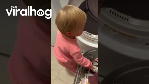 Little Laundry Helper || ViralHog