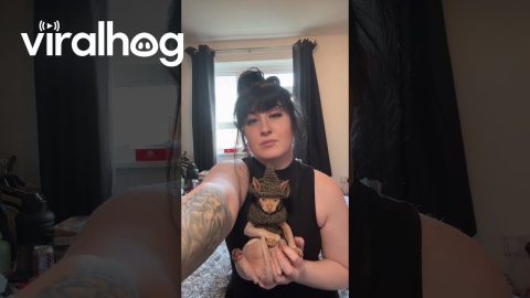 Cattie Doesn't Fall Far From the Baddie || ViralHog