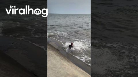 Man Slips On Wet Pavement And Falls Into Sea || ViralHog