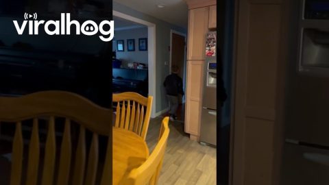Surprising Your Best Friend After 5 Months Apart || ViralHog