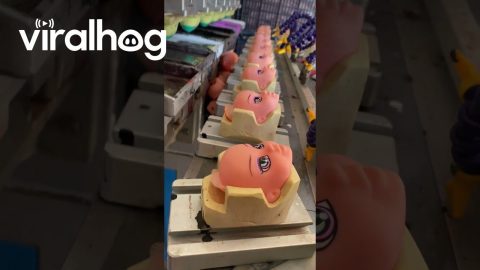 Doll Heads Get Their Eyes || ViralHog