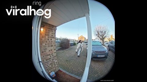 Toddler Plays Hide and Seek with Panicked Mom || ViralHog