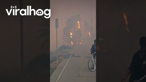 Palisades Fire Up Close At Will Rogers Beach || ViralHog