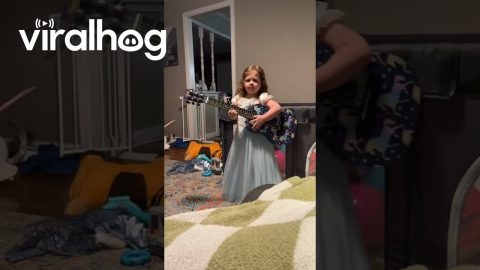 Mini Swiftie || ViralHog