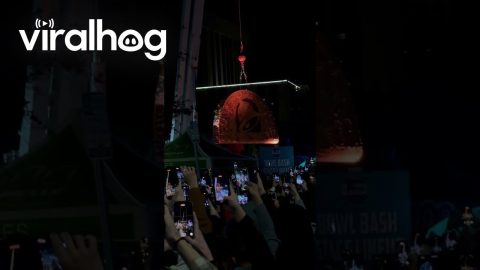 Tucson Taco Drop on New Years Eve || ViralHog