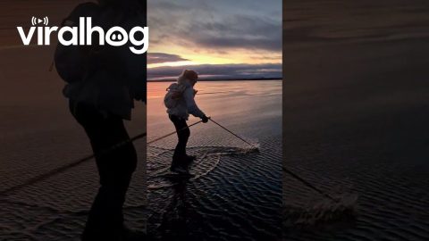 In Sweden We Skate on Water || ViralHog