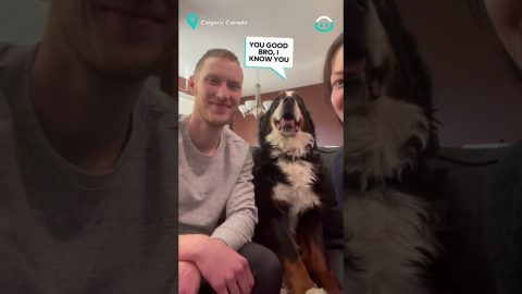 Dog is selective about kissing || ViralHog