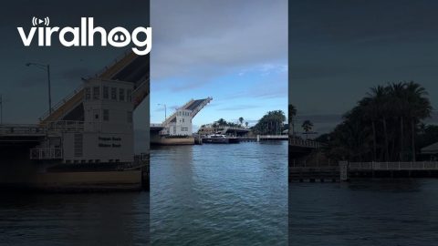 Yacht Breaks Its Mast Against a Raised Drawbridge || ViralHog