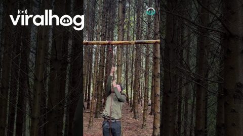 Human Weight-bearing Knot || ViralHog