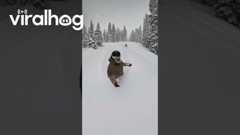 Snowboarding In Two Feet Of Powder || ViralHog
