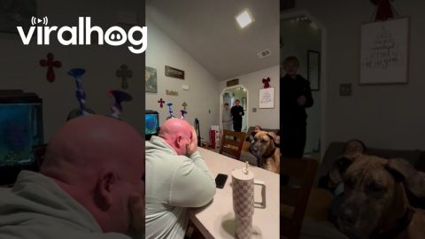 Bald Uncle Lends Target For Popdarts || ViralHog