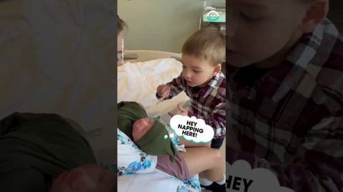 Big Brother Meets New Bestie || ViralHog