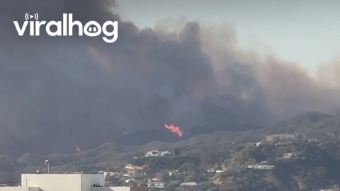 Pacific Palisades Hit by Wildfires || ViralHog