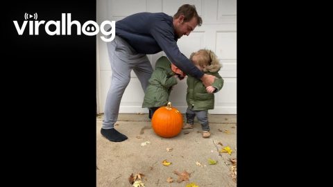 Getting Twins To Pose For A Picture || ViralHog