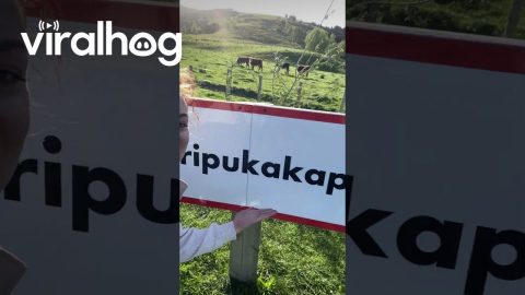 Longest Named Place in the World || ViralHog