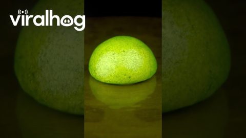 Green Foam Bead Melts Over Candle Flame || ViralHog