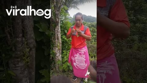 Woman Blows Bubbles From Plant Stem || ViralHog