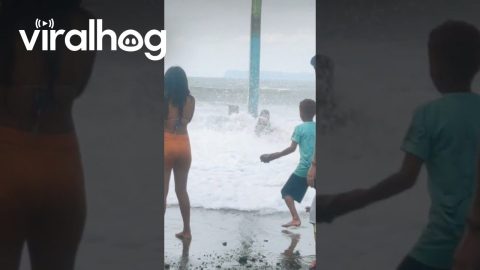 Ocean Swell Takes Down Girls || ViralHog