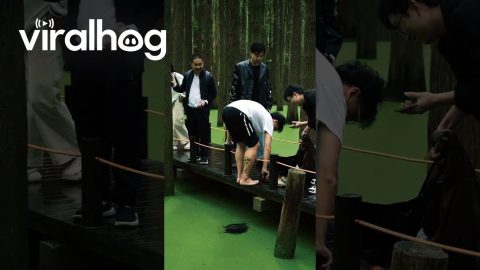 Man Uses Foot To Fish Phone Out Of Lake || ViralHog