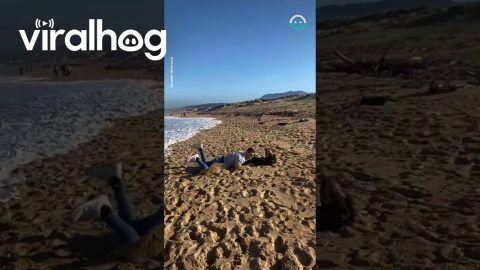 Narrowly Escaping Waves || ViralHog