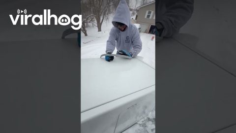 Appliance Transport via Mattress Sled || ViralHog
